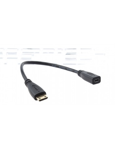 Micro HDMI Female to Mini HDMI Male Converter Cable